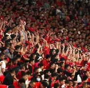 在球场上观众热烈的对球员们喊道努力努力改为间接叙述